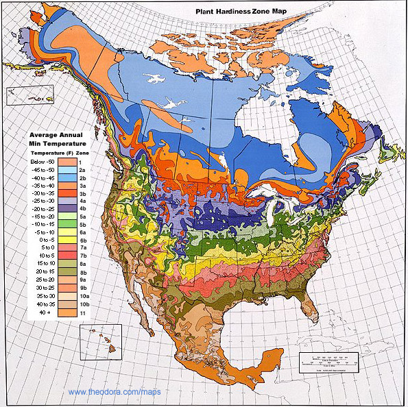 ABC Maps of the United States of America; Flag, Map, Economy, Geography