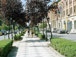 Street scene, Tirana, Albania photo