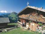 Alpine pasture and farmhouse near Brixen im Thale, Tyrol, Austria photo
