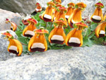 Calceolaria uniflora, Torres del Paine National Park, Chile photo