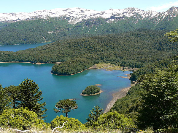 Conguillo National Park, South-Central Chile, Chile photo