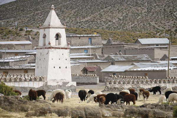 Putre, Arica region, Chile photo