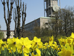 Spring by the City Hall in Aarhus, East Jutland, Denmark photo, Anders Hede