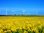 Windmills, North Jutland, Denmark photo, VisitAalborg