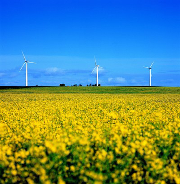 Windmills, North Jutland, Denmark photo
