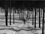Cross Country skier (old CIA photo), Finland photo