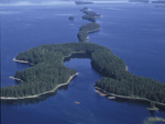 Aerial view of lake Pielinen, Finland photo