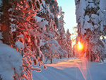 Midnight sun, countryside, Lapponia (Lapland), Finland photo