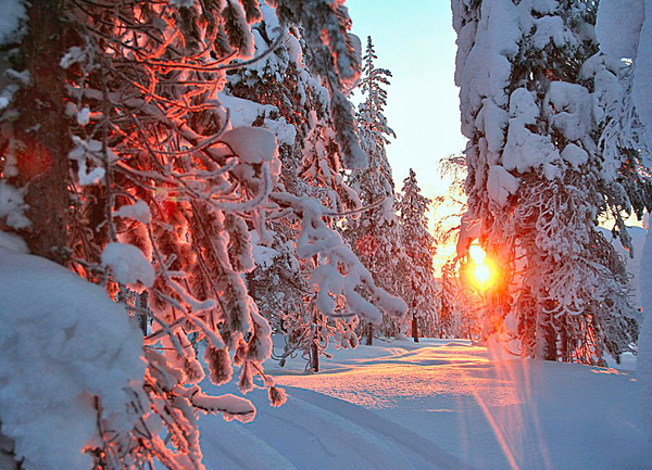 Midnight sun, countryside, Lapponia (Lapland), Finland Photo