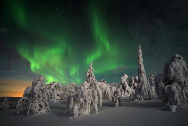 Northern lights (aurora borealis), Lapland, Finland Photo