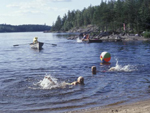 Summer by the lake, Saimaa, Pihlajavesi, Finland photo