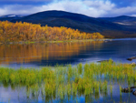 Fall landscape, Kilpisjarvi, Lapponia, Finland photo