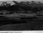 Snow capped mountains and rolling green pastures (old CIA photo), New Zealand