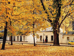 Autumn colours, Arrowtown, New Zealand photo