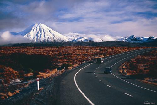 Desert road, New Zealand Photo