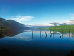 Lake Monowai, New Zealand photo