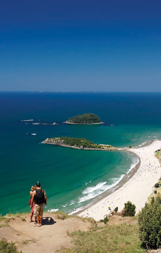 VIew from Mauao, New Zealand Photo