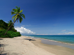 Coiba Island on the Pacific coast of Veraquas Province, Panama photo