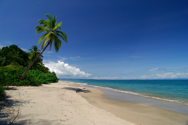 Coiba Island on the Pacific coast of Veraquas Province, Panama Photo