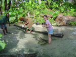 Feeding the eels, Kavieng, Papua New Guinea photo