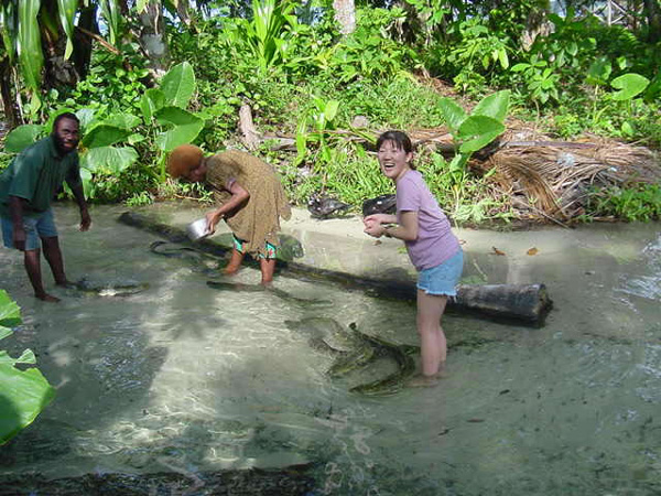 Feeding the eels, Kavieng, Papua New Guinea Photo