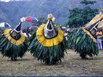Local dancers, Papua New Guinea photo