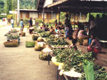 Market, Rabaul, Papua New Guinea photo