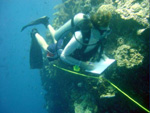 Scuba diving, Papua New Guinea photo