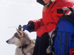 Ice fishing, Northern Sweden, Sweden photo