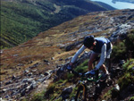 Mountain biking, Sweden photo