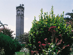 Buyuksaat clock tower, Adana, Turkey photo