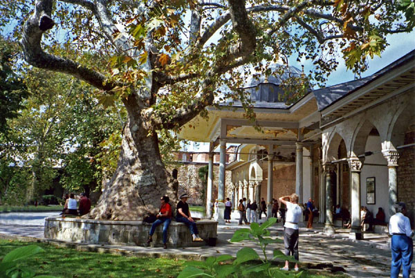 Topkapi palace courtyard, Istanbul, Turkey photo