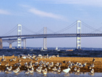 Chesapeake Bay Bridge, Maryland, United States photo