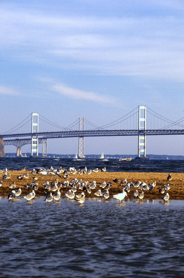 Chesapeake Bay Bridge, Maryland, United States photo